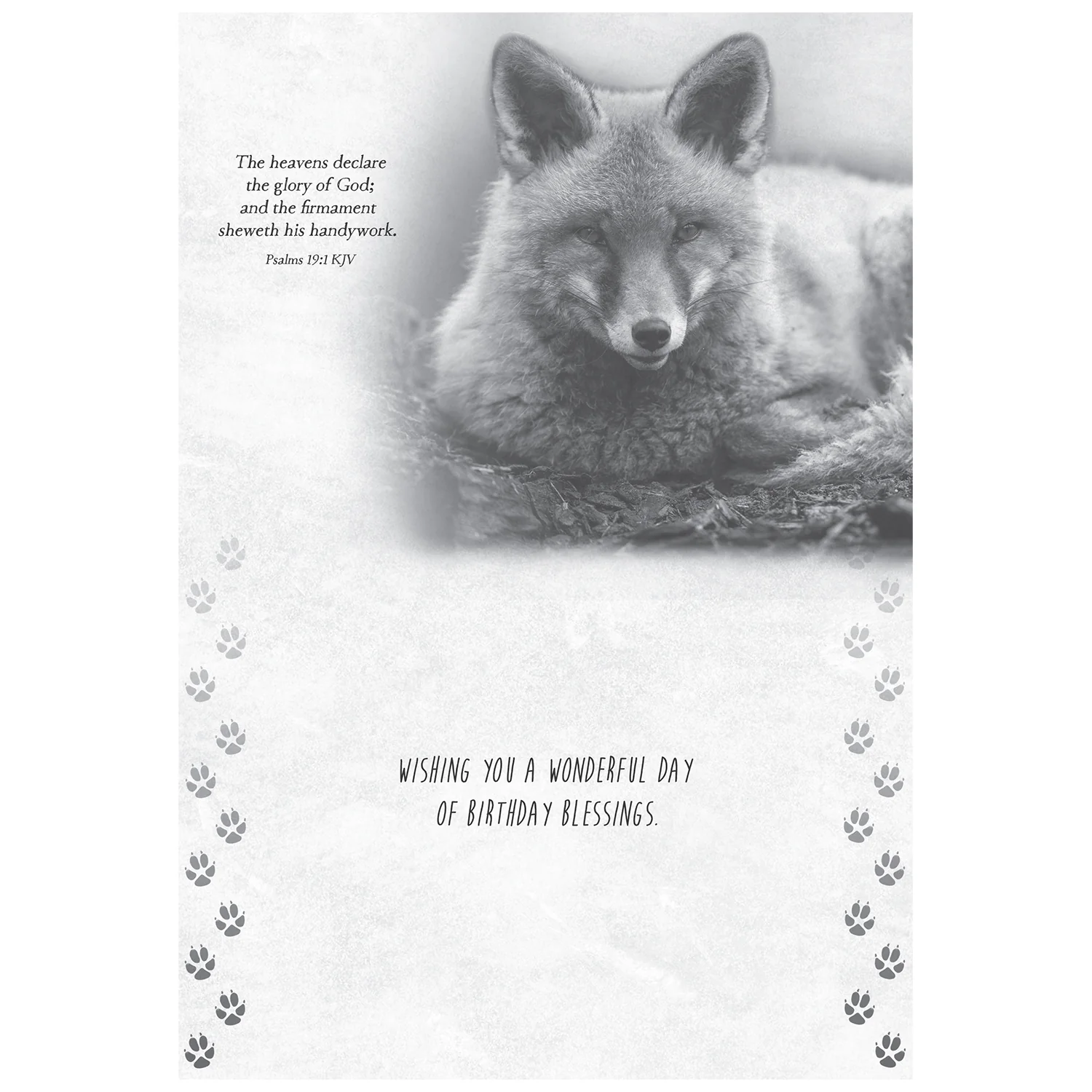 Wild Animals Birthday Boxed Cards FT22688 - Image 7