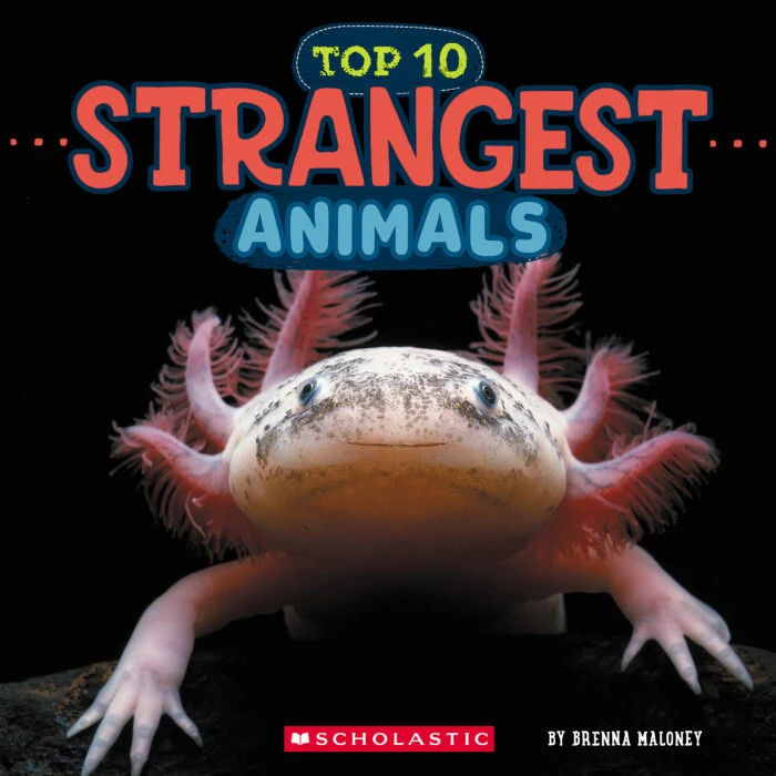 Wild World: Top 10 Strangest Animals 9781546136064