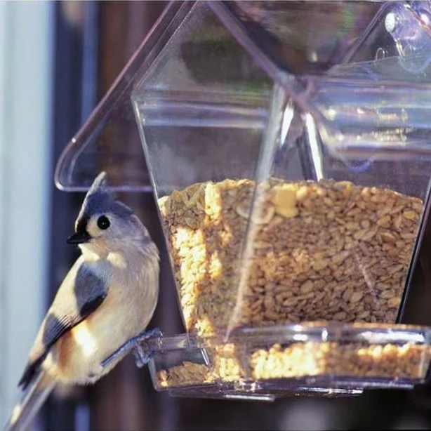Window Cafe Bird Feeder 155 - Image 2