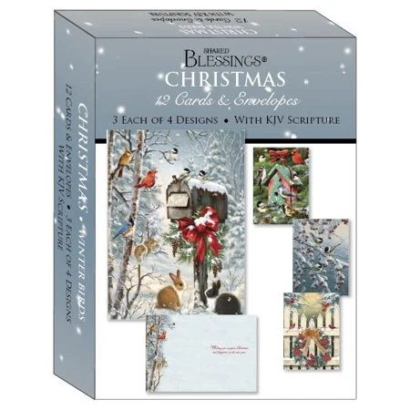 Winter Birds Christmas Boxed Cards SBCA22415