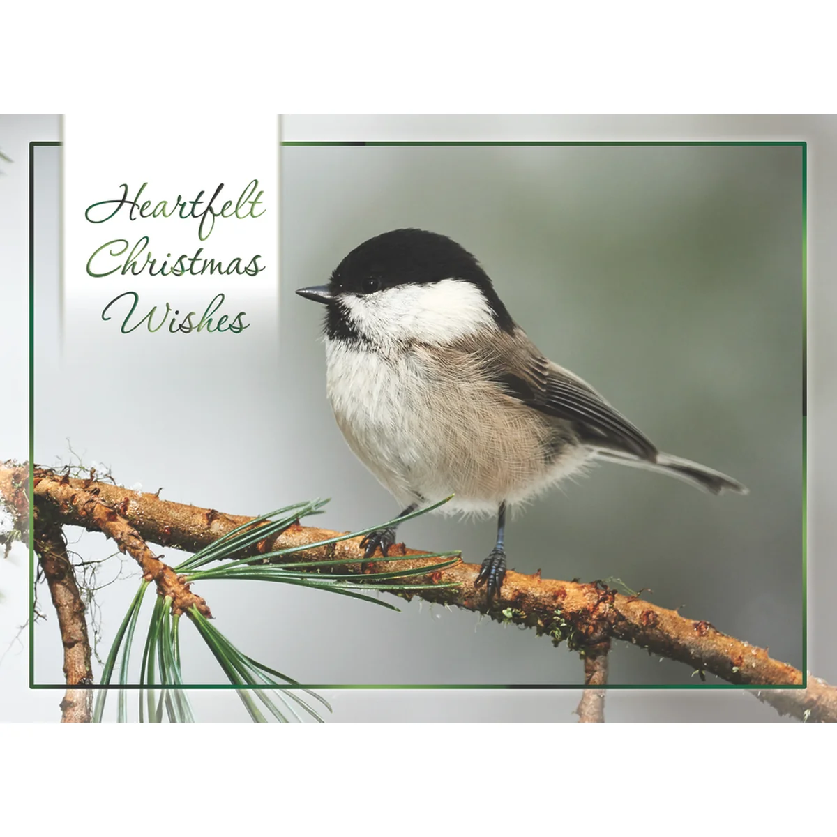 Winter Cheer Christmas Boxed Cards FT22713 - Image 8
