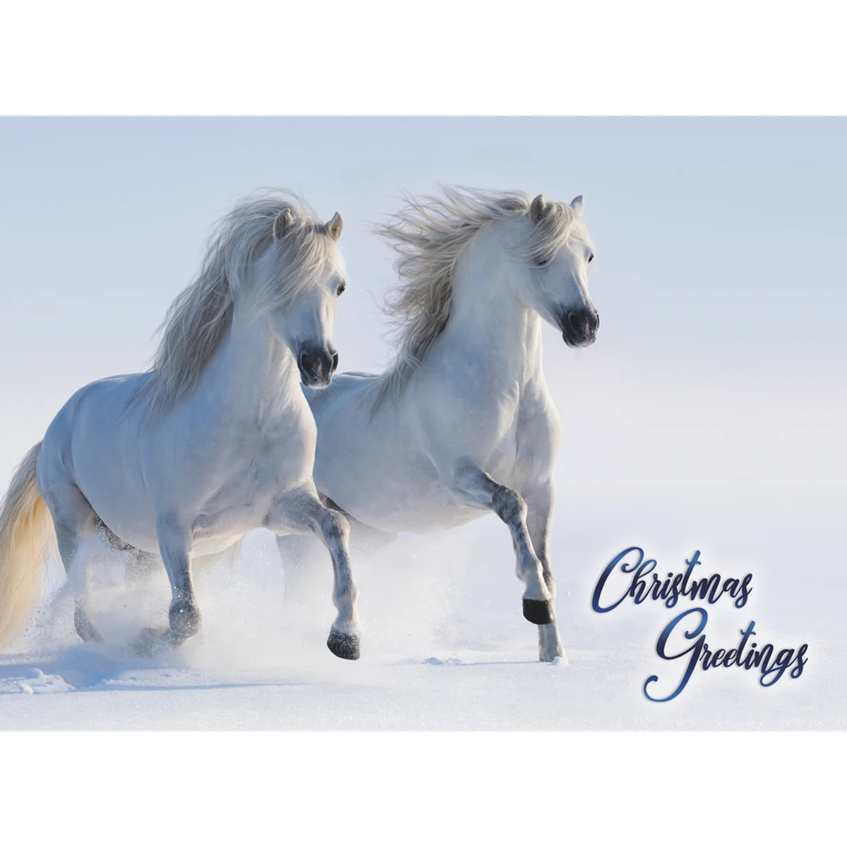 Winter Horses Christmas Boxed Cards FT22793 - Image 4
