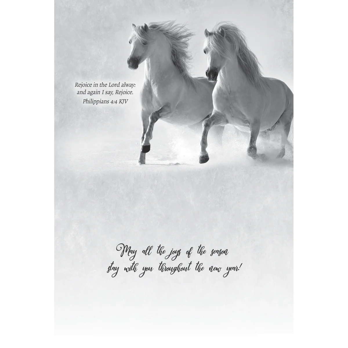 Winter Horses Christmas Boxed Cards FT22793 - Image 5