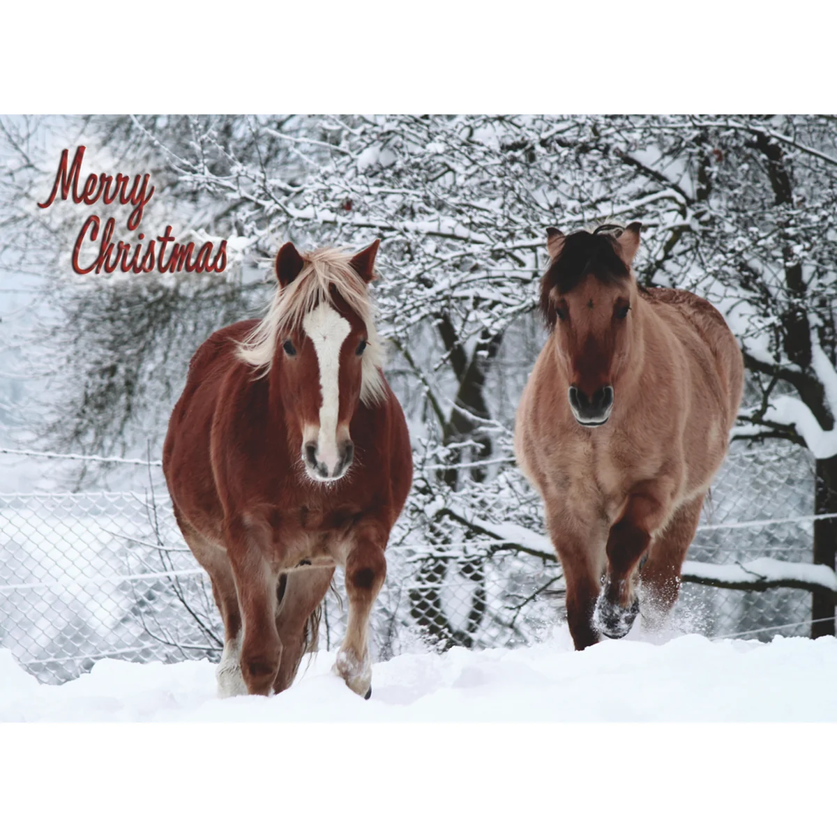 Winter Horses Christmas Boxed Cards FT22793 - Image 6