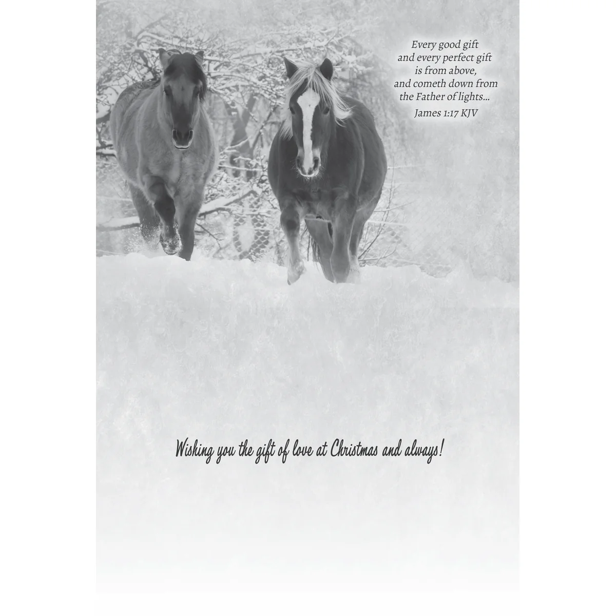 Winter Horses Christmas Boxed Cards FT22793 - Image 7