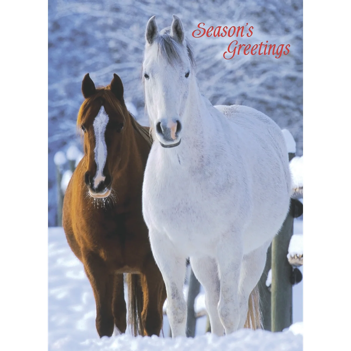Winter Horses Christmas Boxed Cards FT22793 - Image 8