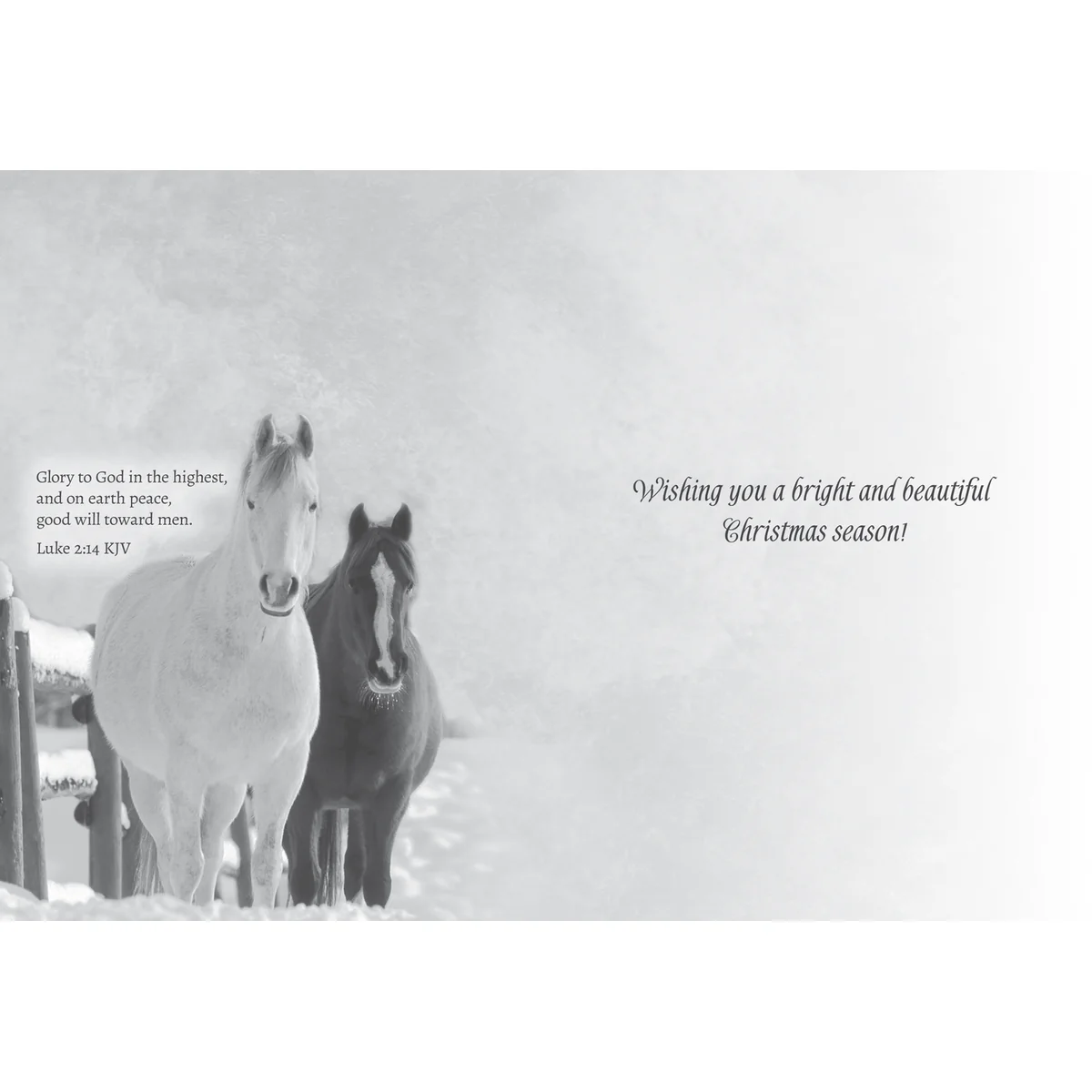 Winter Horses Christmas Boxed Cards FT22793 - Image 9