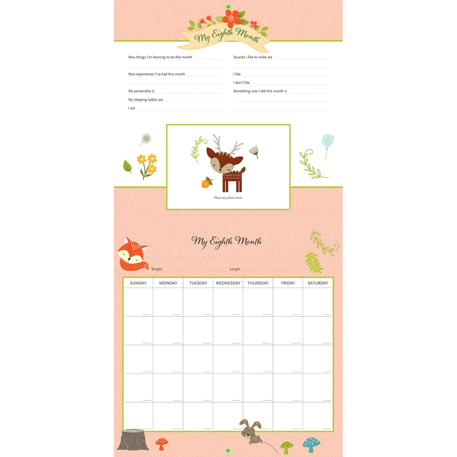 Woodland Friends First Year Calendar- My Life as a Baby 321237 - Image 2