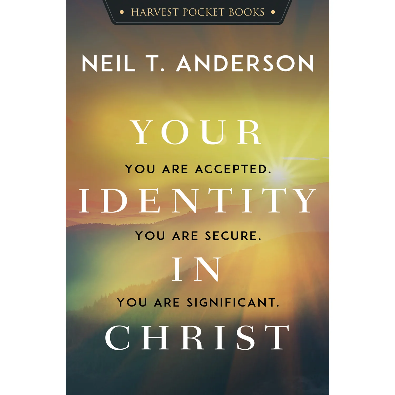Your Identity in Christ 6986243